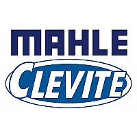 Mahle/ Clevite