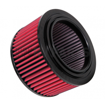 AEM Induction Air Filter - AE-06062-1
