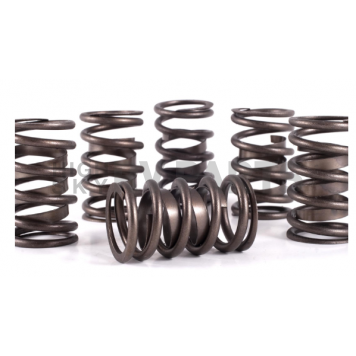 Crane Valve Spring - 9680612