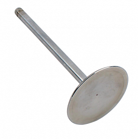 GM Performance Intake Valve - 12569427