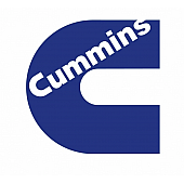 Cummins Lock Nut 3016182