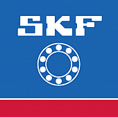 SKF Bearing 6304