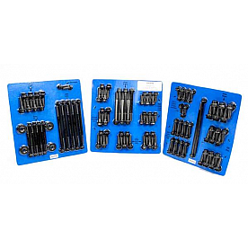 ARP Auto Racing Engine Bolt Set 5349705