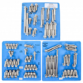ARP Auto Racing Engine Bolt Set 5549502
