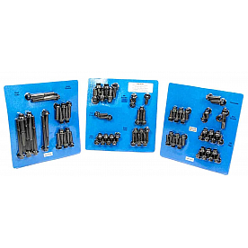 ARP Auto Racing Engine Bolt Set 5949701
