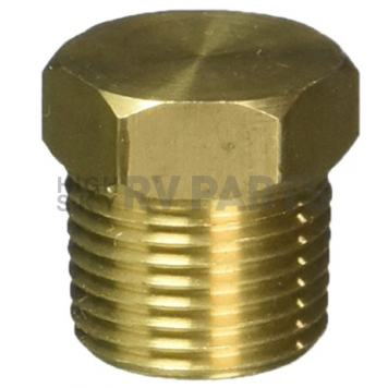 Air Lift Pipe Plug Fitting 21170