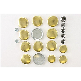 Pioneer Inc. Brass Expansion Plug - PE113B