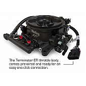 Holley Performance Terminator Fuel Injection Conversion System - 550-405
