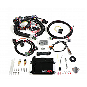 Holley Performance HP Series EFI ECU Fuel Injection System - 550-604