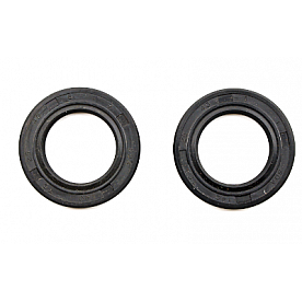 Cometic Gasket Crankshaft Seal Kit IAME Leopard - C195OS