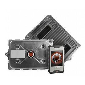 DiabloSport Computer Programmer TJL20T20I3
