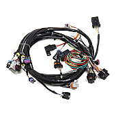 Holley  Performance Engine Wiring Harness 558102