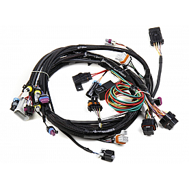 Holley  Performance Engine Wiring Harness 558102
