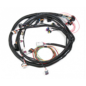 Holley  Performance Engine Wiring Harness 558103