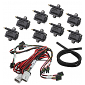 Holley  Performance Ignition Coil 556128