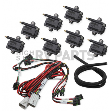 Holley  Performance Ignition Coil 556128