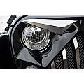 Headlight Eyebrows