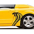 Decals & Graphics
