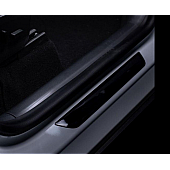 Tesbros PROTECTIVE FILM YDOORENTRY