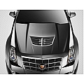 Hood Scoop
