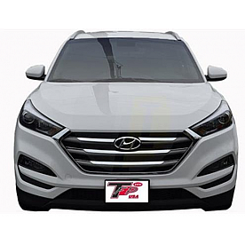 TFP (International Trim) Grille Insert - ABS Plastic Chrome Plated - 68936GI