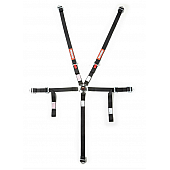 RaceQuip Seat Belt 739009