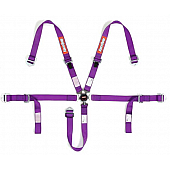 RaceQuip Seat Belt 739059