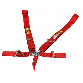 RCI (Racer's Choice Inc) Seat Belt 9210B