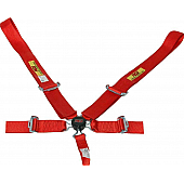 RCI (Racer's Choice Inc) Seat Belt 9210CB