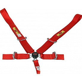RCI (Racer's Choice Inc) Seat Belt 9210CB