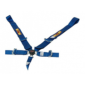 RCI (Racer's Choice Inc) Seat Belt 9210CC
