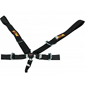 RCI (Racer's Choice Inc) Seat Belt 9210CD