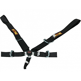 RCI (Racer's Choice Inc) Seat Belt 9210CD