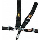 RCI (Racer's Choice Inc) Seat Belt 9210D