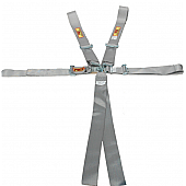 RCI (Racer's Choice Inc) Seat Belt 9210PL