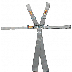 RCI (Racer's Choice Inc) Seat Belt 9210PL