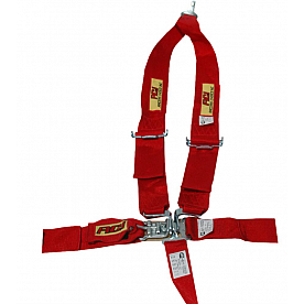 RCI (Racer's Choice Inc) Seat Belt 9211B