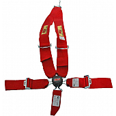 RCI (Racer's Choice Inc) Seat Belt 9211CB
