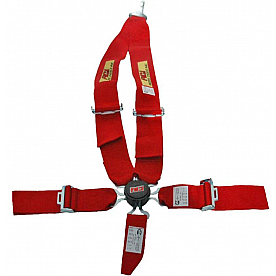 RCI (Racer's Choice Inc) Seat Belt 9211CB