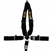 RCI (Racer's Choice Inc) Seat Belt 9211CD
