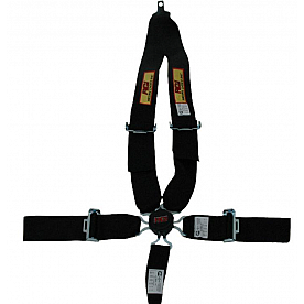 RCI (Racer's Choice Inc) Seat Belt 9211CD