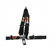 RCI (Racer's Choice Inc) Seat Belt 9211D