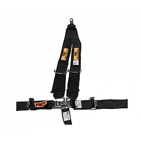 RCI (Racer's Choice Inc) Seat Belt 9211D