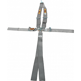 RCI (Racer's Choice Inc) Seat Belt 9211PL