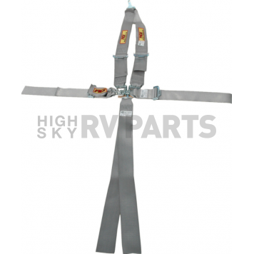 RCI (Racer's Choice Inc) Seat Belt 9211PL