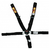 RCI (Racer's Choice Inc) Seat Belt 9410CD