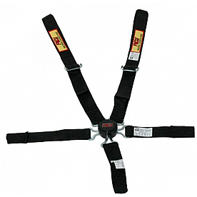 RCI (Racer's Choice Inc) Seat Belt 9410CD