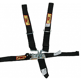 RCI (Racer's Choice Inc) Seat Belt 9410D