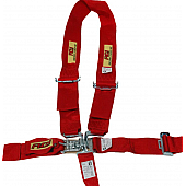 RCI (Racer's Choice Inc) Seat Belt 9411B