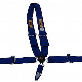 RCI (Racer's Choice Inc) Seat Belt 9411CC